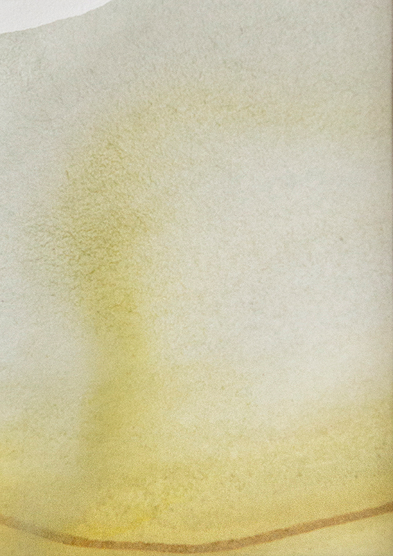 AUF PAPIER #Gouache